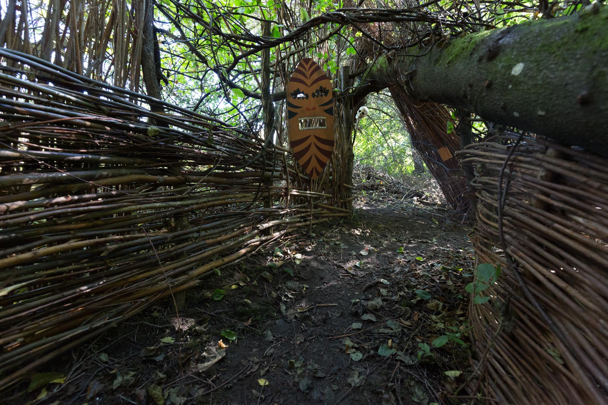 Kraina w Pustyni i Puszczy